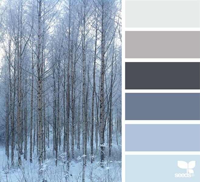 Design Seeds : Desig...