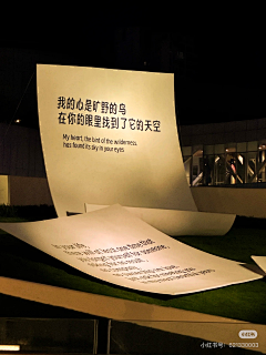 指尖观察者采集到未命名画板(9)