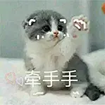 聊天斗图、表情包、情侣专用、牵手手