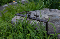 YuanQuanCQ采集到林间