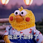 男生最烦女生问的9个问题！欢迎关注@鹦鹉兄弟表情包 ​​​​