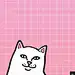 DOBLEoOO没有u