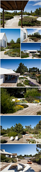 Garden in Comporta / Topiaris - 葡萄牙西南海岸某住宅花园
