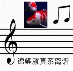 锦鲤表情包