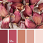 A monochrome palette of pink-brown shades. This color solution can be used for redecoration of an apartment. This range of colors is suitable for interior