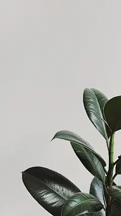 我在时光斑驳深处



聆听到花开的声音