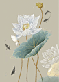 花样暖居21