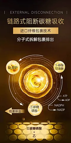 减肥排油燃脂瘦身官方正品女瘦全身肚子减脂胶囊男士专用神器快速-tmall_07