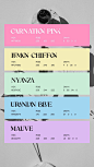 Bright pastels Easter spring color Palette | Branding Design