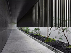 Rachelshaosu采集到A景观---专项/住宅/别墅样板间庭院