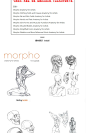 morpho人体形态解析 肌肉结构身体解剖骨骼躯干 艺用速写临摹素材-淘宝网