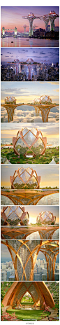 天空之城--莲花Tsvetan Toshkov。设计师将建筑建成莲花形状中，周围是绿色生态区。Via：ATENO天诺国际。