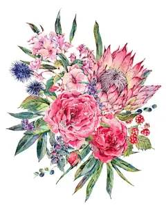 手绘水彩月季花唯美花环边框高清图片合集  - PS饭团网psefan.com