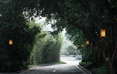 DuJPing采集到Forest