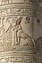 Ancient Egyptian relief of Horus with the body of a lion in the Temple of Kom Ombo.: 
