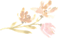 水彩粉红色水仙花卉PNG免抠图