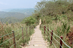 盈盈KYO采集到栈道