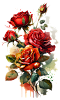Bouquet of roses. Букет роз. PNG.