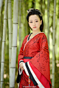 #杨蓉云中歌#