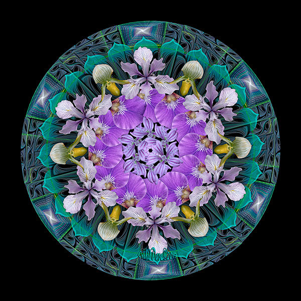 Floral Mandalas : I ...