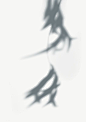 墙上的叶子的影子|  rawpixel.com免费图片