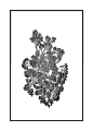 Qtart 4 肌理画- (94)