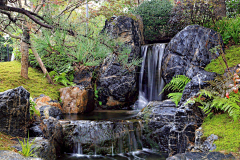阿门阿阿门阿阿阿门采集到日式---水景