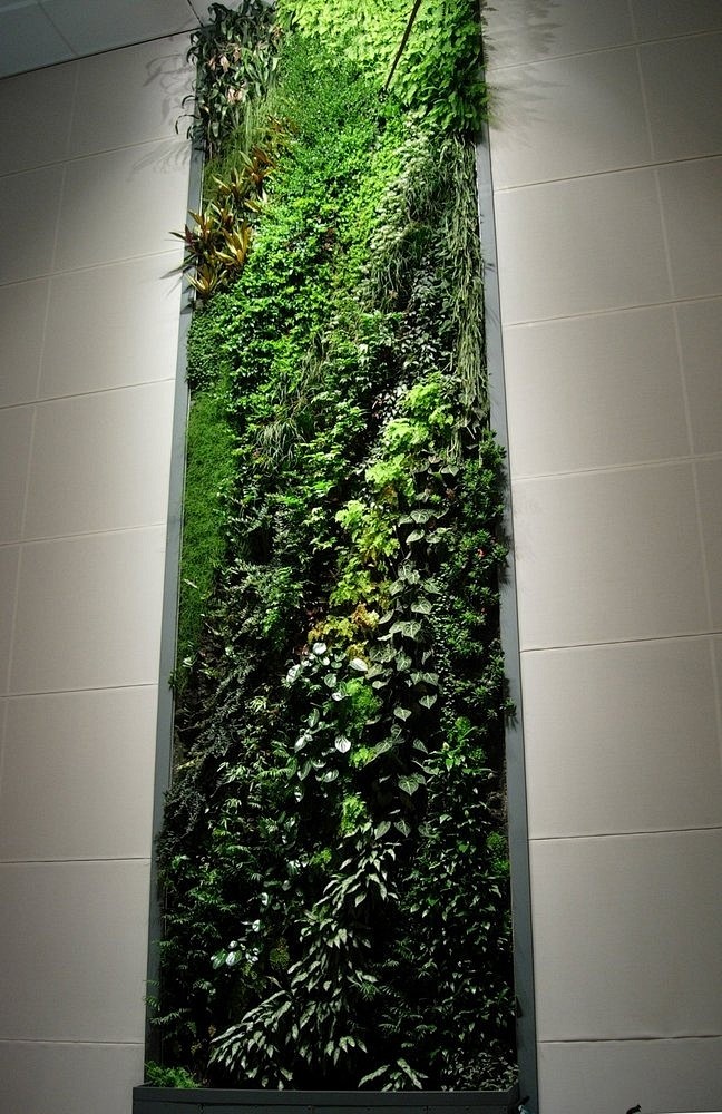 专辑|景观设计丨垂直绿化丨landsca...