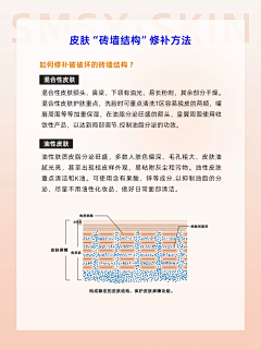 wty_loo采集到皮肤管理