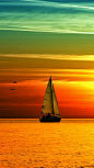 Sail in the sunset, wow!: 