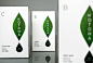 KOTOHA with yuica : A new "Forest-bathing" brand from Japan.From the refreshing scent of Japanese spicebush (kuromoji) to the exotic sweetness of Anise Magnolia (nioikobushi), yuica is the pure essence of Japanese forests, distilled into 100% na