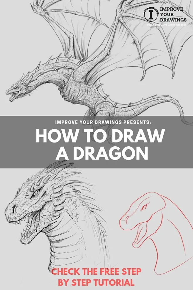 龙，dragon，龙头，龙翅膀，教程，龙绘画教程，西方龙，帅气，霸气，酷-花瓣网