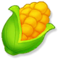 Vegetable_4