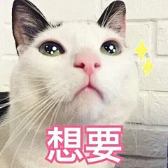 超可爱猫咪系列表情包 撒个娇萌死你_动漫新闻_动漫论坛_动漫美图_幻之羁绊动漫网