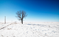 General 2560x1600 photography landscape nature winter trees snow road field