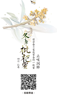 脚本880采集到国风参考