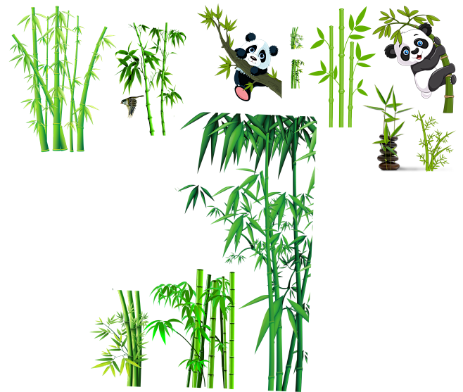 竹子 竹叶 青竹 png 透明图 素材