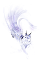 灵猫