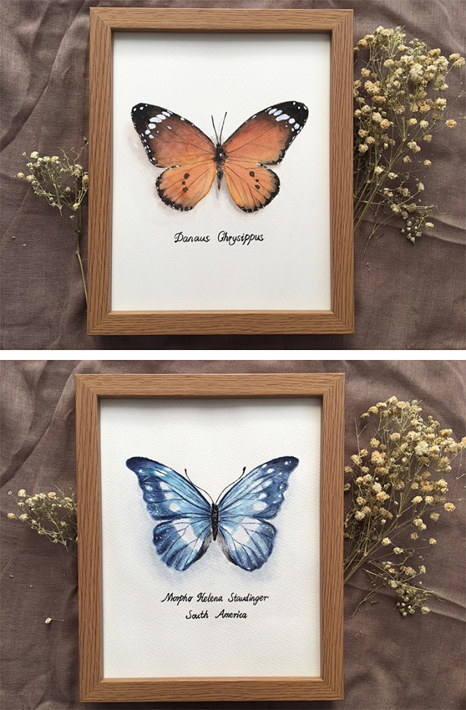 蝴蝶标本手绘水彩现代简约客厅装饰画玄关壁画北欧卧室餐厅挂画淘宝网