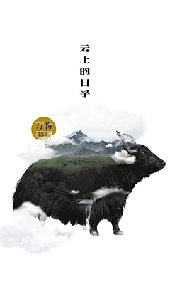 天光123采集到gan zi