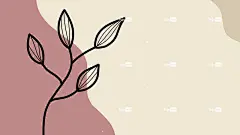 花壁纸 花卉背景 植物背景 大自然的模式 形象的 花朵 花艺设计