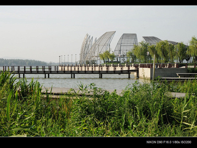 龙子湖风景区 - 蚌埠市风景图片特写第1...