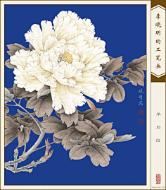 国画牡丹花瓣网陪你做生活的设计师 莲花之美