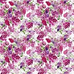 水彩丁香花插图