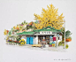 【韩国插画师Me Kyeoung Lee手绘的街角便利店】
 Me Kyeoung Lee的所有作品里的这些小店从外观、商品的陈设，甚至是店门前的小花园，都和一般的连锁便利商店不同。在 Lee带点柔和色调的笔触描绘下，每间小店都显得十分温馨，就连一旁的树木，也是每间店都有不同的特色，或是盛开着似樱花或桃花的粉色花朵，或是金色和绿色的树叶，和已经熟透的柳丁。而冬季到来，柑仔店又被积雪披上了一层银白的外衣，显得格外素朴美好。
