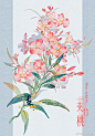 古风图片/景/植物花卉，画师：画画的青禾