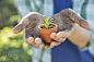 Man holding up tiny potted plant by Hero Images on 500px