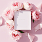 Scene photography, white square big gift box and pink and white roses in a bright environment, various flowers surround the gift box, beautiful light and shadow in the sun, clean, simple, ethereal, pink bright background, natural and real photography, foc