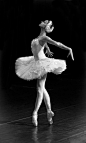 LOVE Everything about Swan Lake - the music, the dance, the drama, the costumes!: 