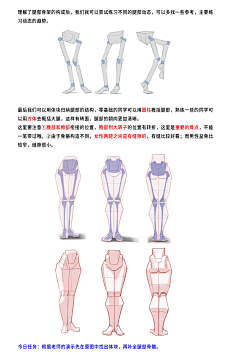 盐下采集到素材（人体结构）